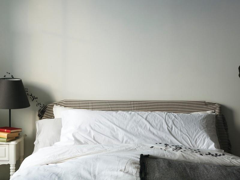 Bugs In Bedroom