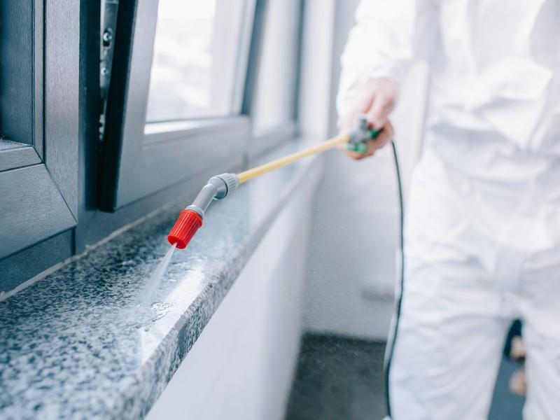 Local Commercial Pest Control