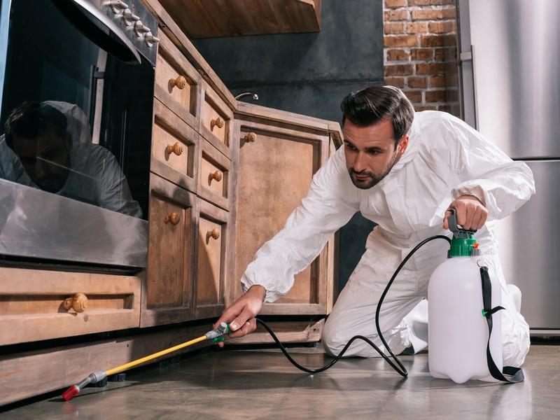 Exterminator Near Me