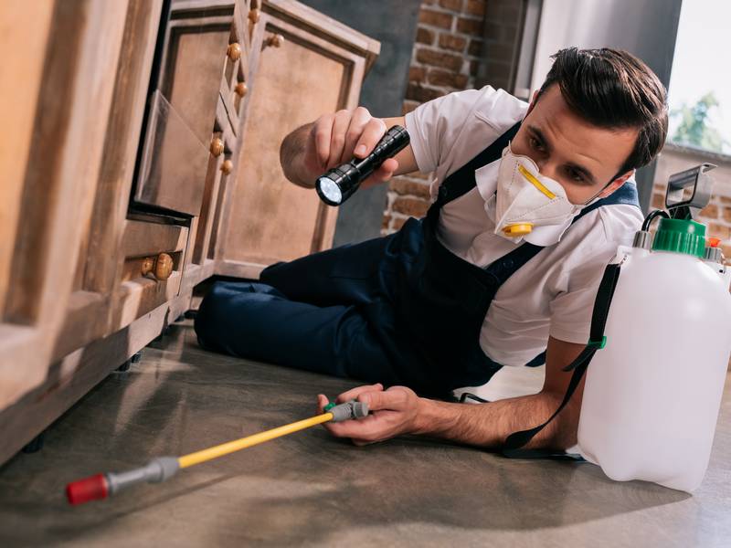 What Is Commercial Pest Control